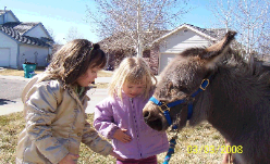 Mobile Petting Zoo in Denver, CO - Little Angels Pony and Pals Children Standing With a Pony