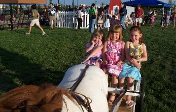 Mobile Petting Zoo - Little Angels Pony and Pals Petting Zoo Fort Collins CO