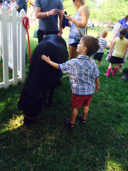 Photo of child petting pig