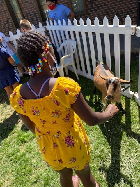Photo of young girl petting a goat.