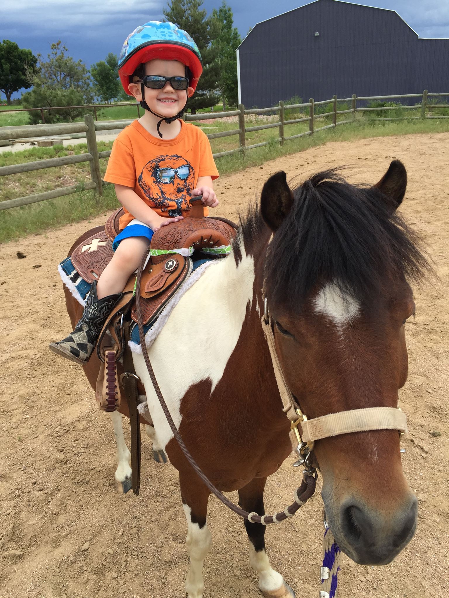 Young boy in helmet sitting on a brown and white pony