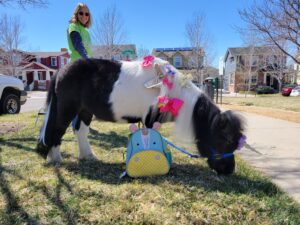 Pretty Pony 2